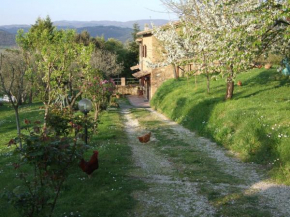 Podere La Vigna